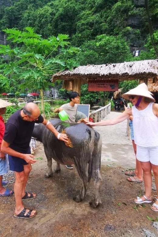 Ninh Binh : Countryside Tour by Motorcycle - Buffalow Riding - Buffalo Cave and the farm experience: cooking, duck feeding, buffalo riding