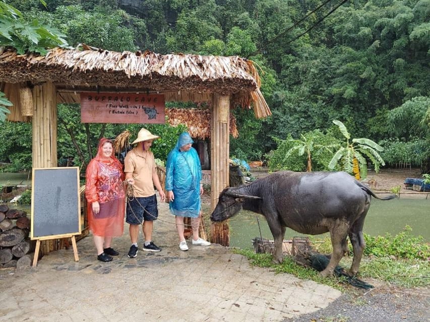 Ninh Binh : Countryside Tour by Motorcycle - Buffalow Riding - Price and value: why $51 can feel fair here