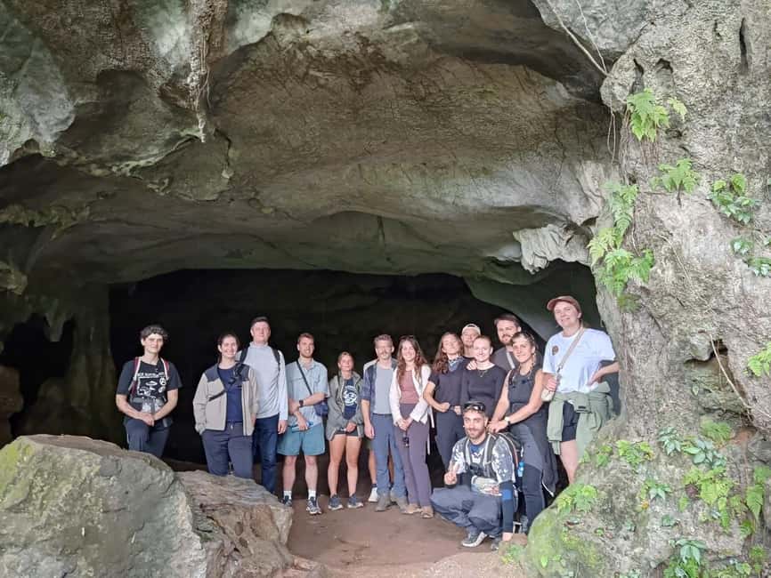Ninh Binh: Cuc Phuong Jungle Trek, Wildlife & Ancient Caves - Jungle walking, bird calls, and the Thousand-year-old Cho Tree