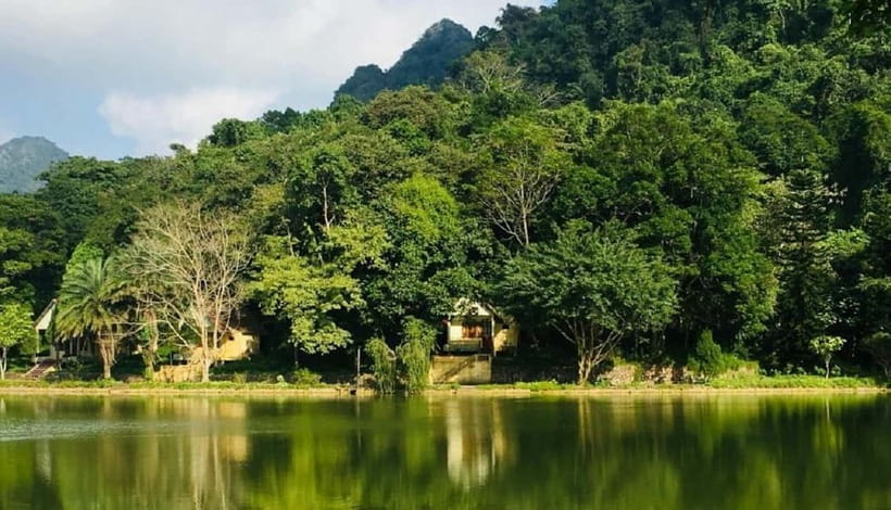 Ninh Binh : Cuc Phuong National Park One Day Group Tour - From 08:30 pickup to 16:30 return in Ninh Binh