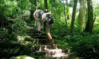 Ninh Binh : Cuc Phuong National Park One Day Group Tour - Endangered Primate Rescue center: where the day’s wildlife focus starts