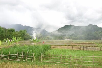 Ninh Binh Daily Tour All-Inclusive Bus, Guide, Lunch & Activities - Pickup and limo-bus timing: why the morning start matters