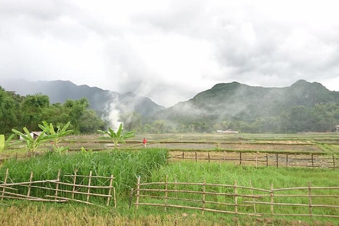 Ninh Binh Daily Tour All-Inclusive Bus, Guide, Lunch & Activities - Pickup and limo-bus timing: why the morning start matters