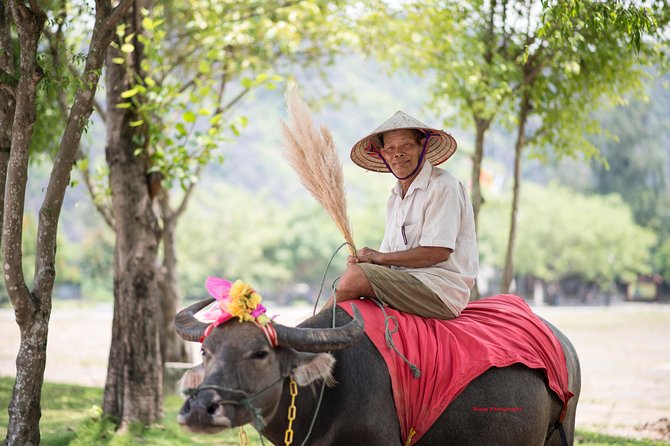Ninh Binh Daily Tour: Hoa Lu - Tam Coc boat trip and Bike - Vietnamese Buffet Lunch: included fuel that keeps the day moving