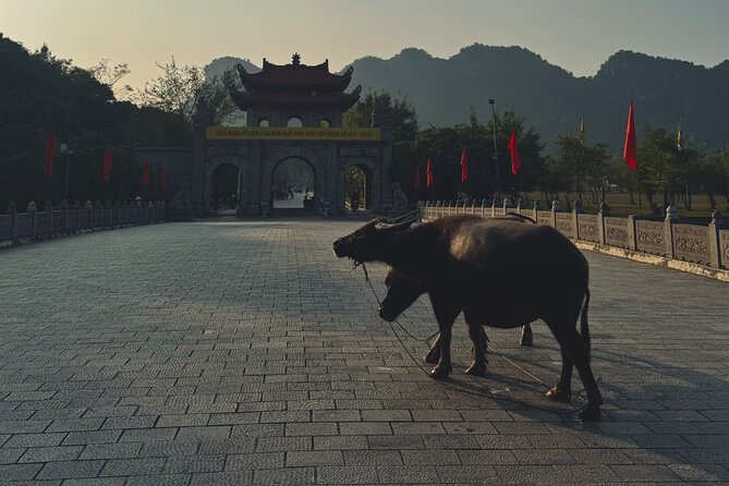 Ninh Binh Day Escape from Hanoi: Local Life, Connection & Tales - Key Highlights That Make This Day Escape Feel Worth It