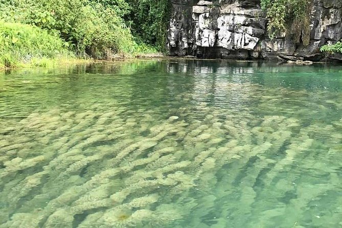 Ninh Binh Day Tour: Bai Dinh Trang An boat trip - Lunch at Ninh Binh: Buffet Food With Goat Soup in the Mix