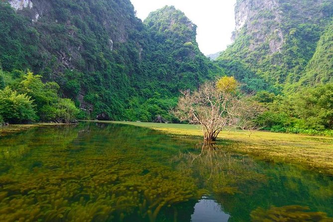 Ninh Binh Day Tour: Bai Dinh Trang An boat trip - How the Guides Change the Experience (Linh, Jenna, Loan, Tommy, Sunny, Snow, Thi)