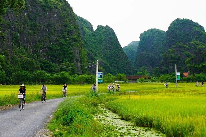 Ninh Binh Day Tour Tam Coc Mua Cave Hoa Lu Buffet Lunch Limousine - Cycling around Tam Coc: countryside roads and golden rice fields