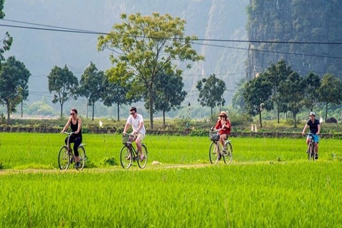 Ninh Binh Day Tour to Hoa Lu Trang An Mua Cave with Buffet Lunch - Trang An grottoes boat ride: where the caves change the whole mood