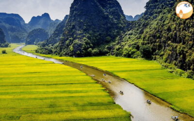NINH BINH DAY TRIP: HOA LU,MUA CAVES &THUNG NHAM BIRD VALLEY - Pickup From Hoàn Kiếm and the Ride Out to Dong Bắc