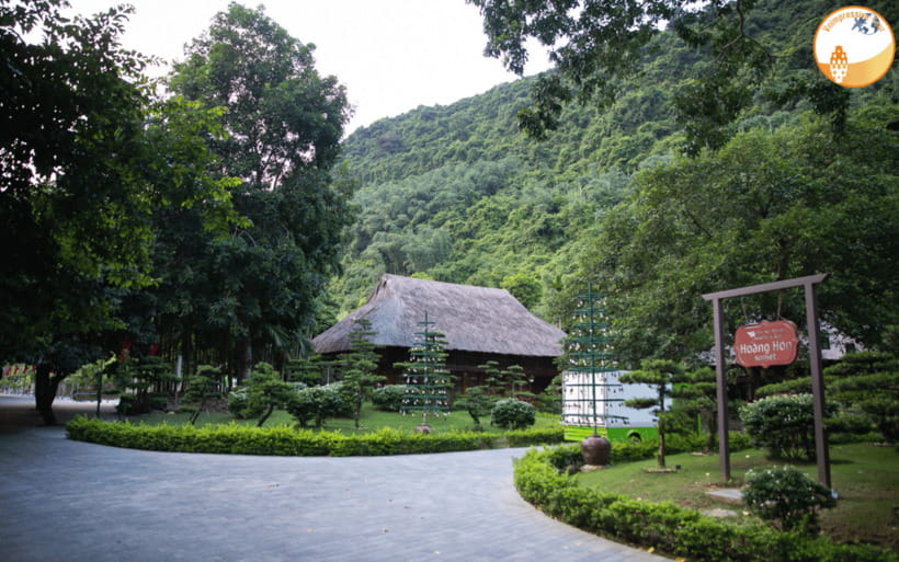 NINH BINH DAY TRIP: HOA LU,MUA CAVES &THUNG NHAM BIRD VALLEY - Price and Logistics: What You Get for $42 (Plus Extras)