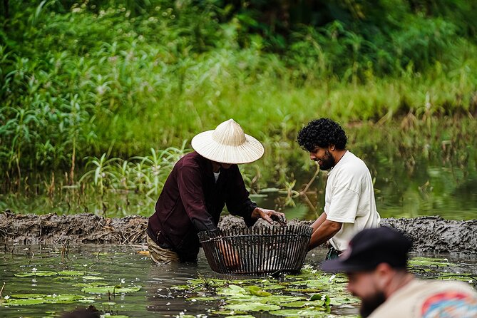 Ninh Binh eco group tour - Buffalo riding, rice planting, fishing - Buffalo Cave and Tam Coc: the setting that makes it feel real