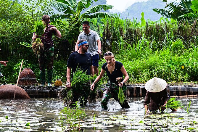Ninh Binh eco group tour - Buffalo riding, rice planting, fishing - Price and timing: what $41.41 buys you in Ninh Binh
