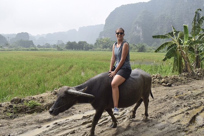 Ninh Binh eco group tour - Buffalo riding, rice planting, fishing - Logistics that matter: meeting point, group size, and your body