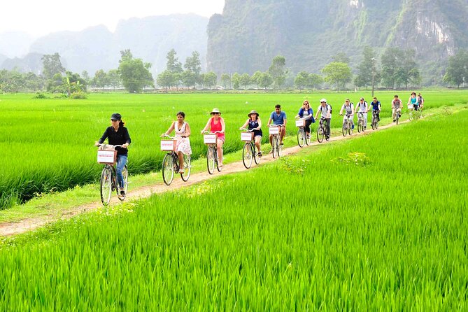 Ninh Binh full day-Hoa Lu temple & biking, Tam Coc boat trip, Dragon mountain - Hoa Lu temples: Dinh and Le ruins with a guided story you can follow