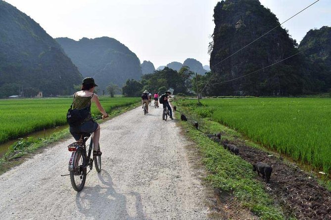 Ninh Binh Full Day Tour: Bai Dinh Pagoda - Trang An - Mua Cave - Mua Cave and Ngoa Long Mountain: the 500 steps you’ll remember