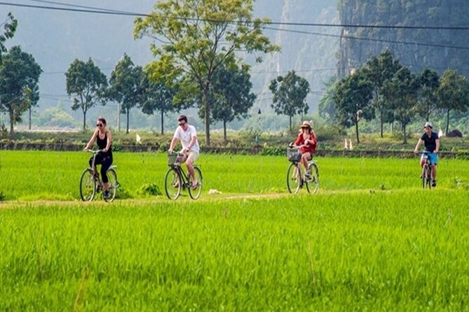 Ninh Binh Full Day Tour to Hoa Lu Tam Coc Mua Cave Buffet Lunch - Price and value: what you’re really paying for
