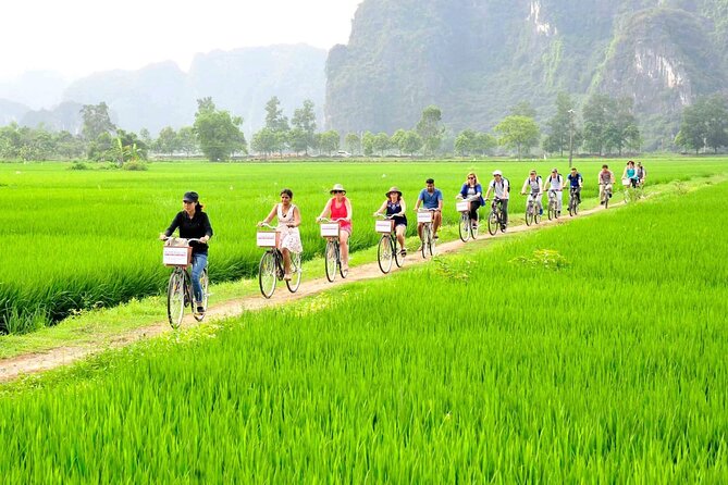 Ninh Binh Full Day Tour with Hoa Lu, Tam Coc and Mua Cave - Who this tour fits best (and who might want a different plan)