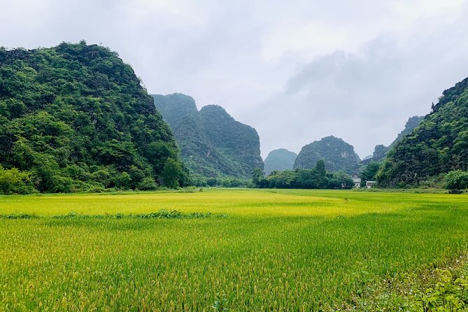 Ninh Binh Full Day Trip From Hanoi To Hoa Lu, Trang An, Mua Cave - Key things worth planning for