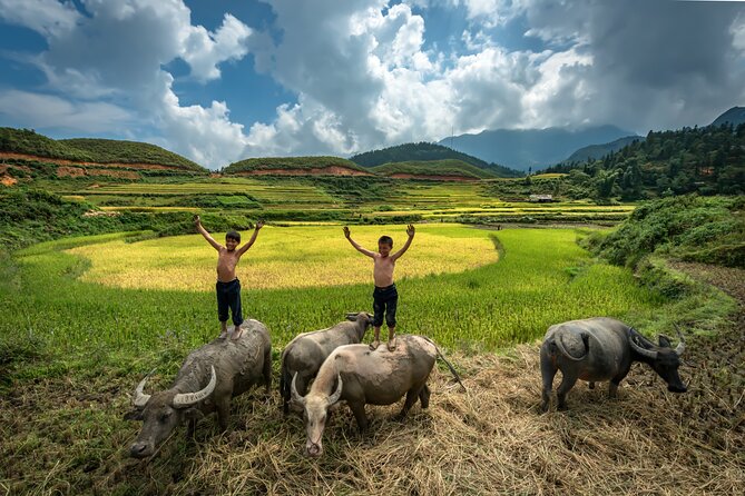 Ninh Binh Group Tour of 11 from Hanoi via Mua Cave Tam Coc Hoa Lu - Tam Coc biking: easy pace through limestone and rice paddies