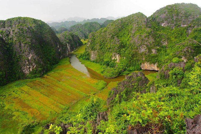Ninh Binh - Hoa Lu - Mua Cave - Tam Coc 1 Day Tour - Price and value: what $39 really covers