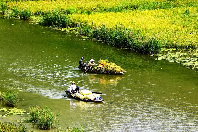 Ninh Binh-Hoa Lu-Tam Coc - Mua cave - Dragon Mountain Hiking 1 Day Tour - Mua Cave (Dancing Cave) and Dragon Mountain: 500 steps for the best photos