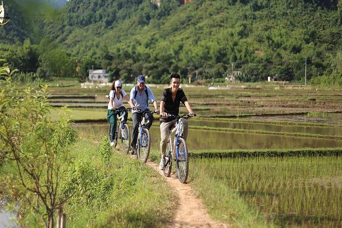 NINH BINH MEMORABLE DAY: Hoa Lu, Mua Cave, boat trip Tam Coc, Trang An optional - Stop 2: Tam Coc by traditional sampan on the Ngo Dong River