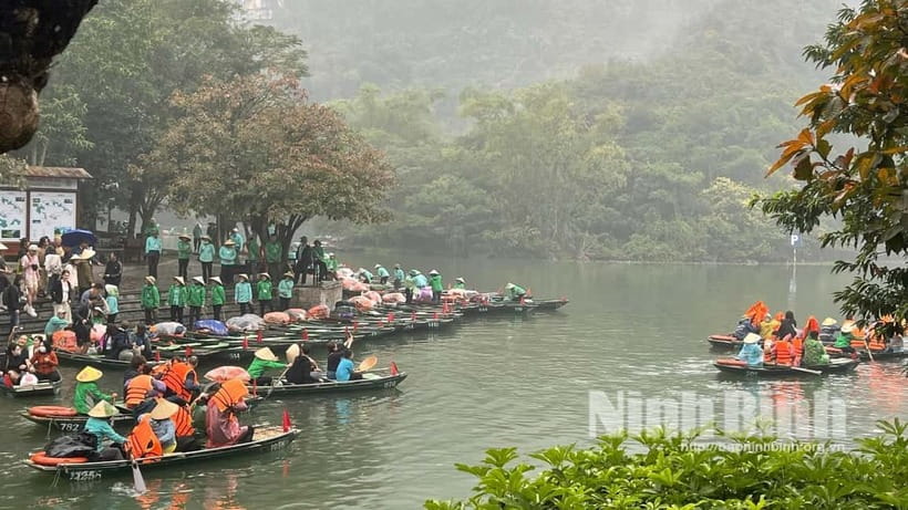 Ninh Binh: Mua Cave Hike, Trang An Boat & Village Bike Tour - Hang Mua and the 500 steps: the climb that changes the whole day