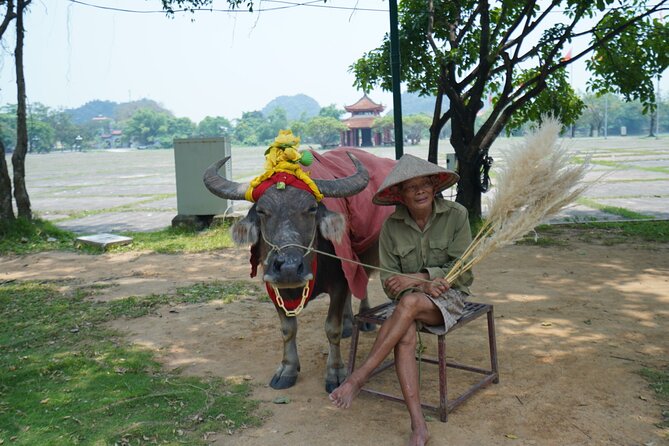 Ninh Binh One Day Trips- from Hanoi - Guide and group energy: where the best part often hides