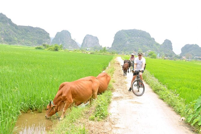 Ninh Binh Private Tour to Mua Cave Trang An Grottoes From Hanoi - Why this private Ninh Binh day works so well