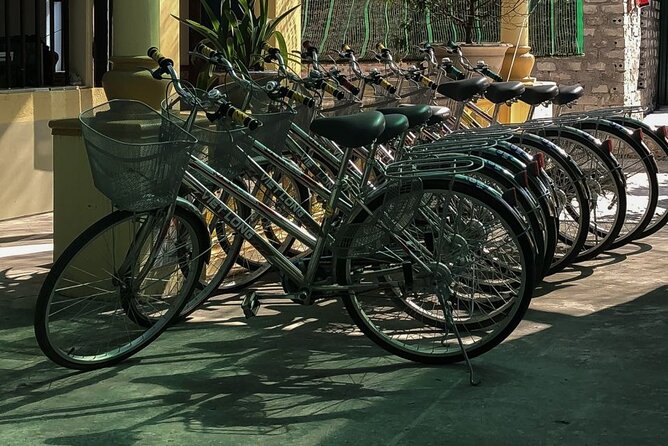 Ninh Binh Private VIP Tour - Lunch in Ninh Binh: included, but keep it flexible