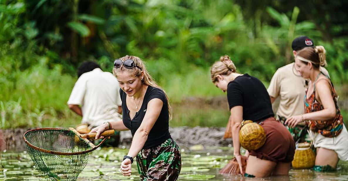 Ninh Binh: Rice planting and fishing by basket tour - Key highlights to know before you go