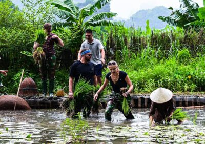 Ninh Binh: Rice planting and fishing by basket tour - 09:00–09:30 Buffalo time: feeding, bathing, and the farm rhythm