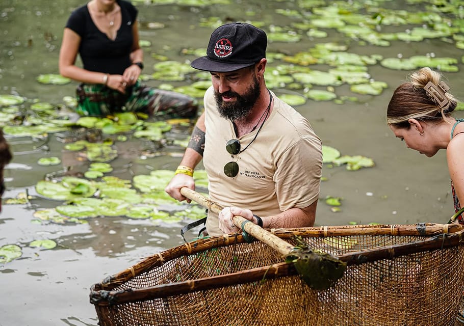 Ninh Binh: Rice planting and fishing by basket tour - 10:00–10:30 Planting Vietnamese rice: learning the cycle from start to finish