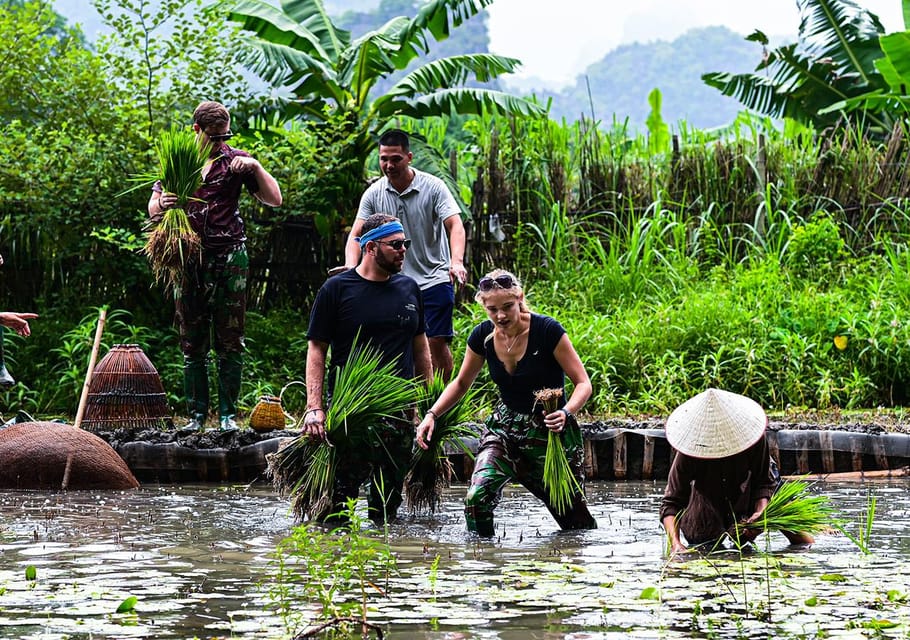 Ninh Binh: Rice planting and fishing by basket tour - 09:00–09:30 Buffalo time: feeding, bathing, and the farm rhythm
