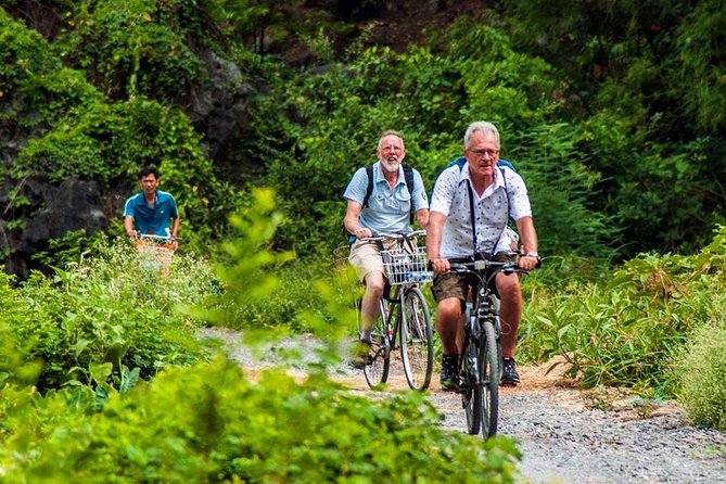Ninh Binh Tour Hoa Lu Tam Coc Full Day: Biking,Boating,Tickets,Lunch, Limousine - Tam Coc caves by boat: the part that earns its hype