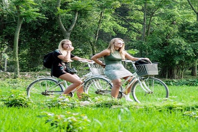 Ninh Binh Tour Hoa Lu Tam Coc Full Day: Biking,Boating,Tickets,Lunch, Limousine - Who this tour is best for (and who should skip it)