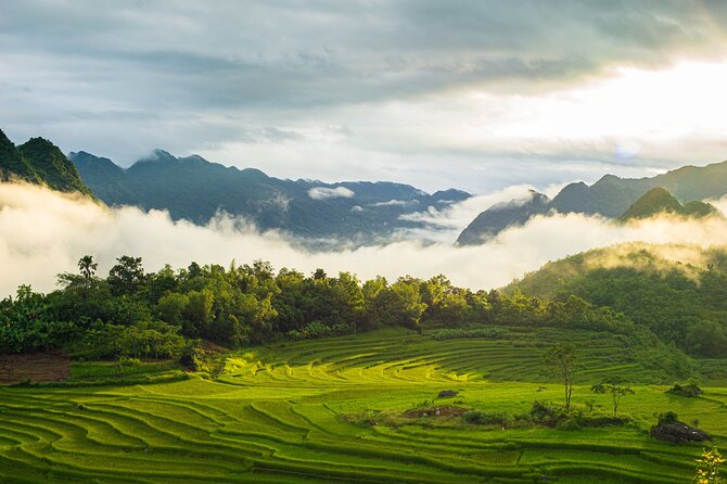 Noi Bai Airport transfer to Hotel or Vice versa - Who This Transfer Is Best For (and Who Might Skip It)