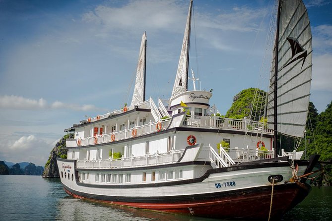 (Official) Signature Halong Cruise - 03 days 02 nights program - Day 3 Morning: Deck Tai Chi, Tea and Coffee, Then Thien Canh Son Cave