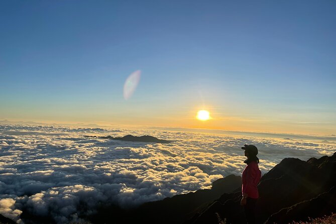 One Day Conquering Fansipan - The Roof Of Indochia - The 10-Hour Fansipan Trek: Primeval Forest to Bamboo Stands
