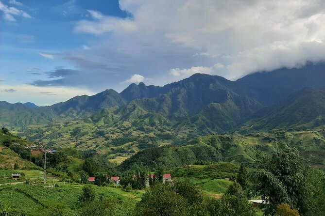 One day Trekking in Sapa and Muong Hoa Valley with local guide - Walking to Y Linh Ho: Rice Fields, Village Paths, and Real Terrain