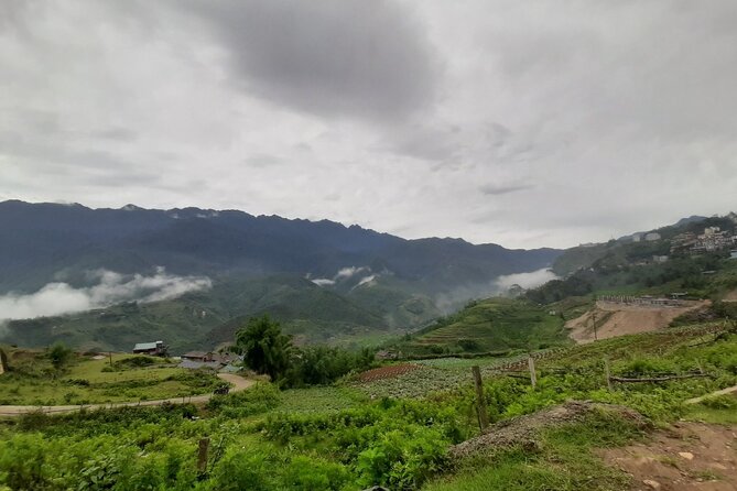 One day Trekking in Sapa and Muong Hoa Valley with local guide - The Guide Factor: Why Local English Matters on This Trek