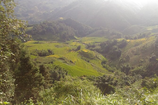 One day Trekking in Sapa and Muong Hoa Valley with local guide - Price and Value: Is $40 a Fair Deal for 7 Hours?