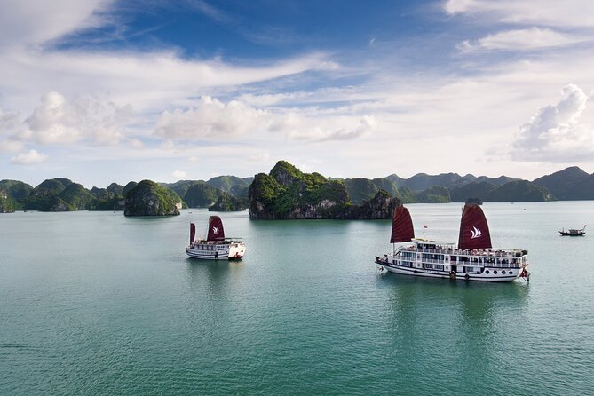 Overnight Bai Tu Long Bay Cruise from Hanoi - Ha Long Bay All-Inclusive - Day 2 sunrise tai chi and the tea-on-deck feeling