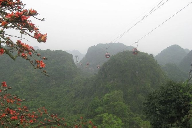 Perfume Pagoda Full Day With Boat Trip - Cable Car to Huong Tich Cave (and the Steps After): Plan Your Legs