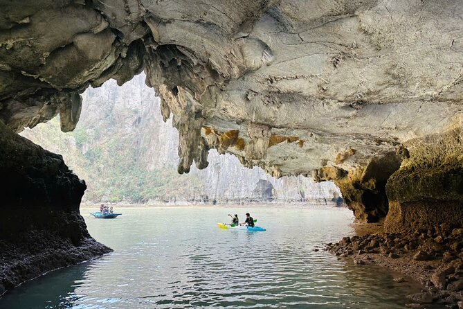 Private 1 Day Tour in Ha Long Bay with Private Cruise or Group - Key highlights to look for