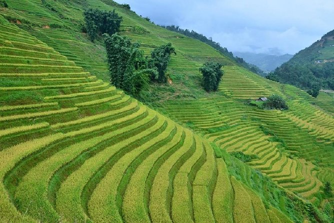 Private Car and Tour Guide Exploring Northern Vietnam - Comfort and logistics: early mornings, long roads, and smart prep
