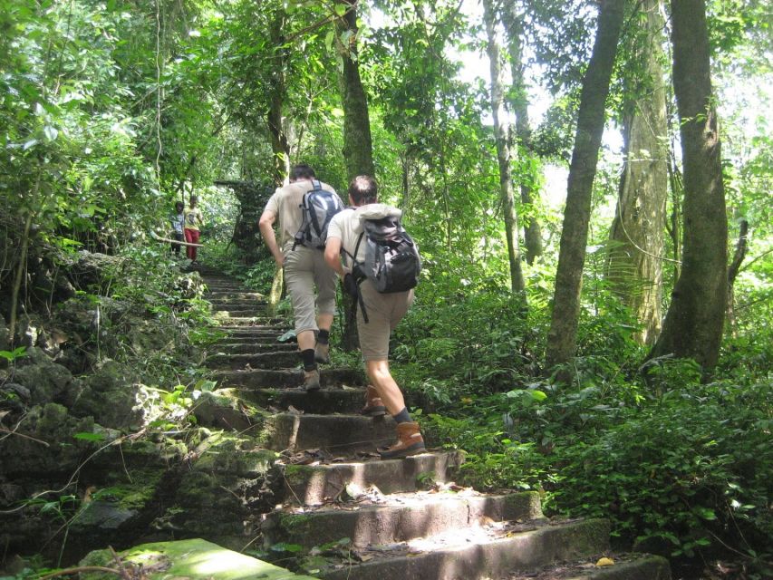 Private Day Tour: Cuc Phuong National Park from Hanoi - Who this tour suits best