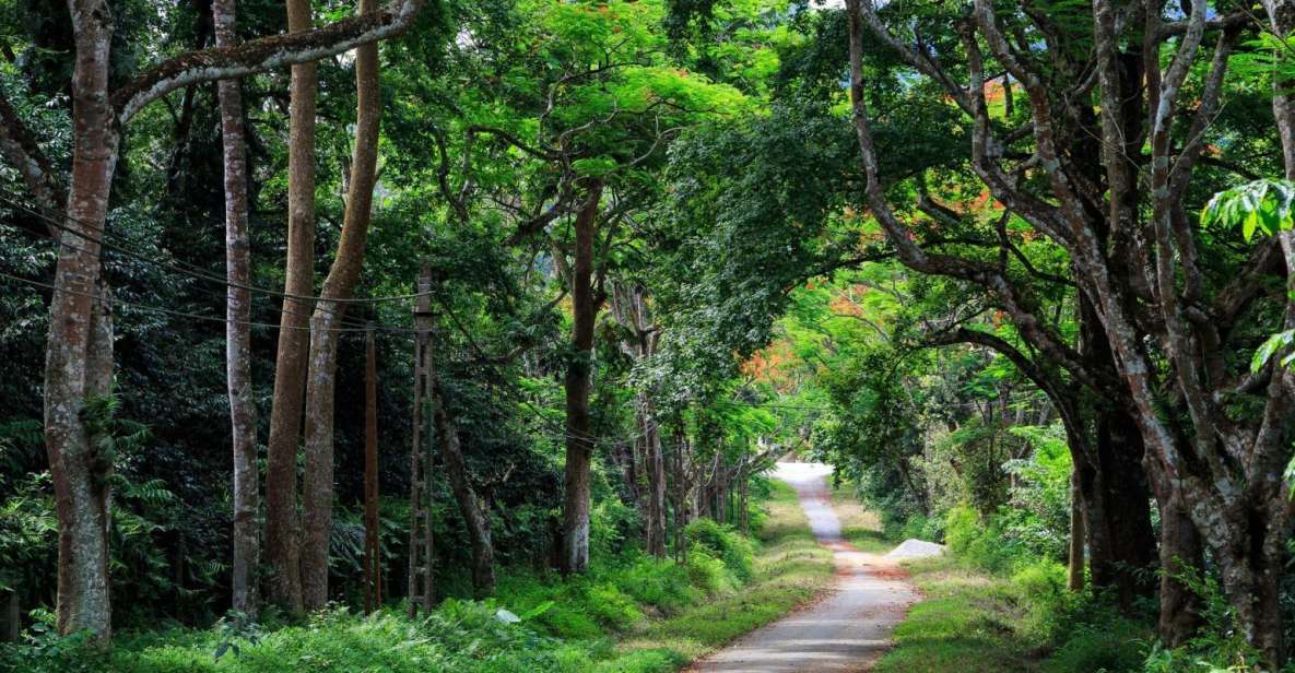 Private Day Tour: Cuc Phuong National Park from Hanoi - Morning at the primate rescue center: what you’re actually supporting