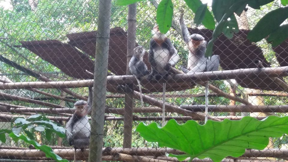 Private Day Tour: Cuc Phuong National Park from Hanoi - The jungle hike blocks: how to match effort to your day